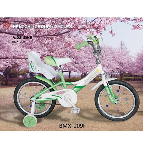 KIDS  BIKE   BMX -209F