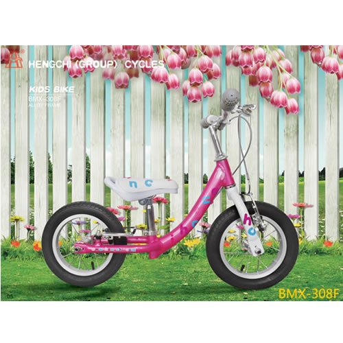 KIDS  BIKE   BMX -308F