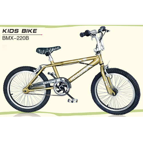 KIDS  BIKE   BMX -220B